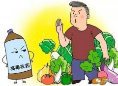 农药残留快速检测仪的应用减少农残产品